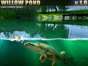 Play Willow Pond Game on FOG.COM